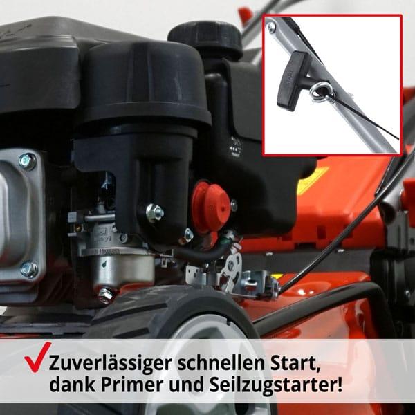 Immagine prodotto Hecht 546 (Benzina)