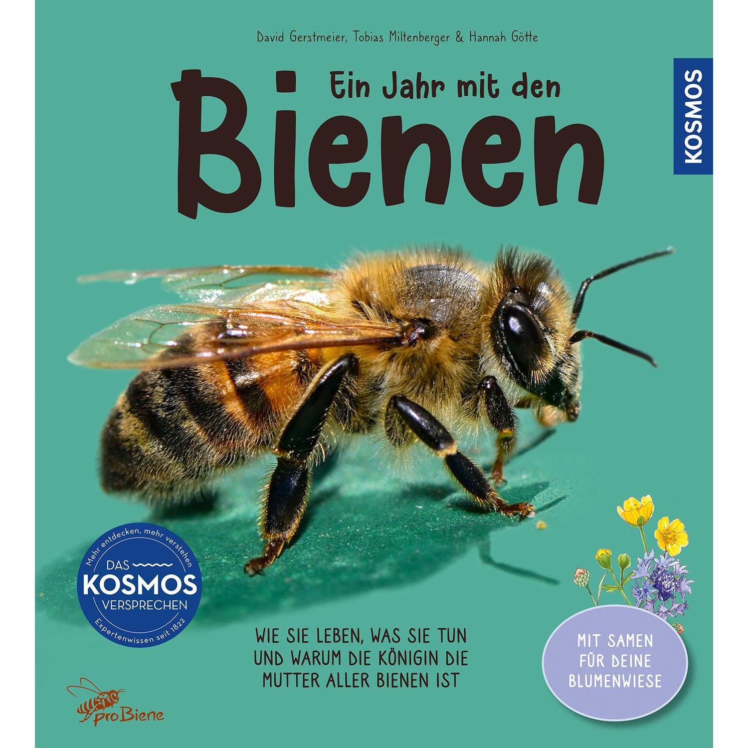 Ein Jahr mit den Bienen, Kinderbücher von Tobias Miltenberger, David Gerstmeier