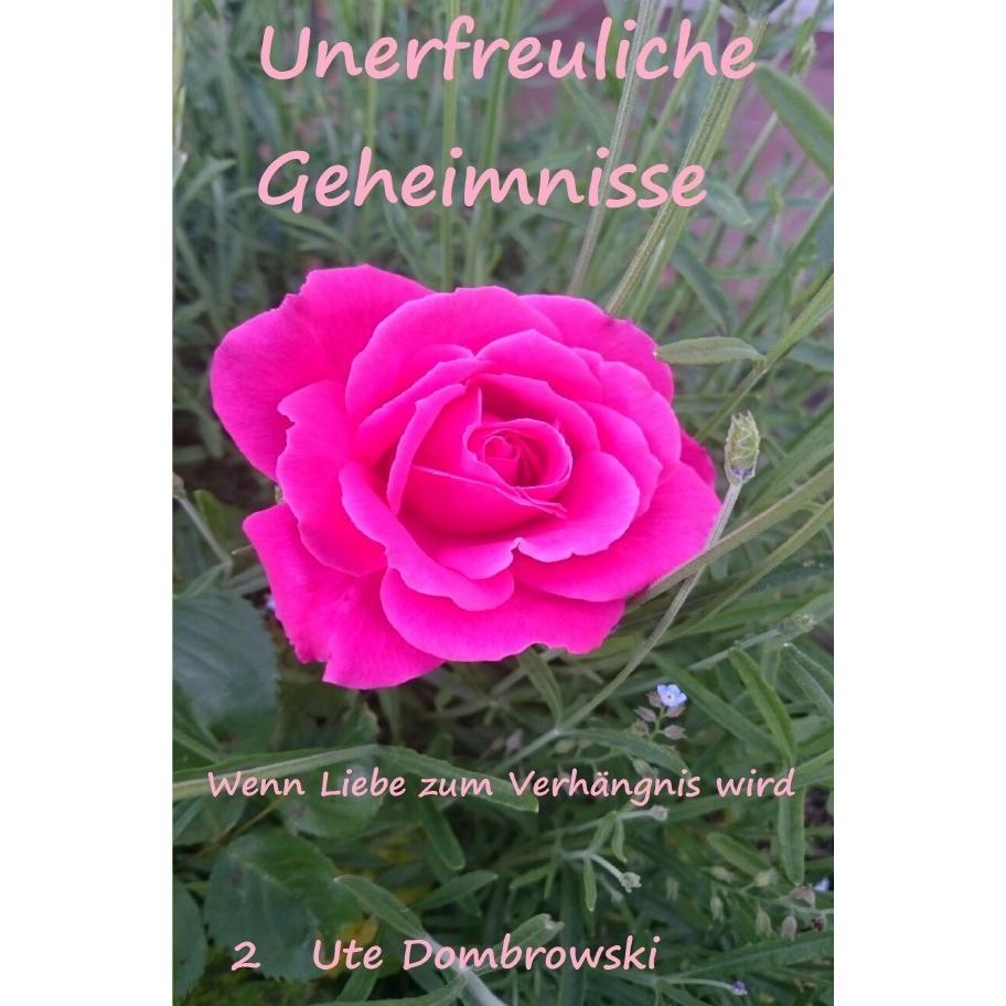 Nelly / Unerfreuliche Geheimnisse 2, Belletristik von Ute Dombrowski