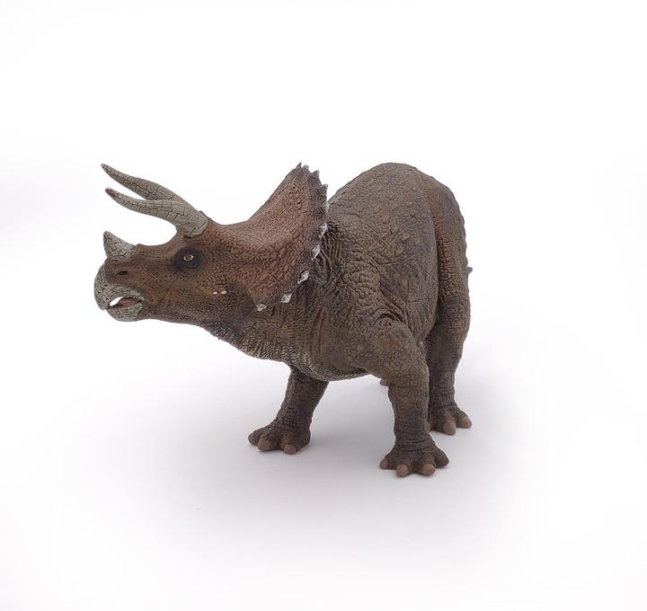 Image du produit Papo tricératops