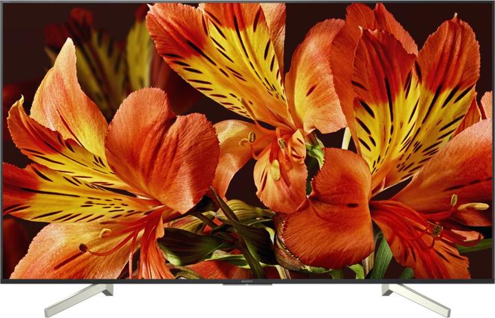 Produktbild Sony Kd-49xf8505 (49", LCD, 4K, 2018)