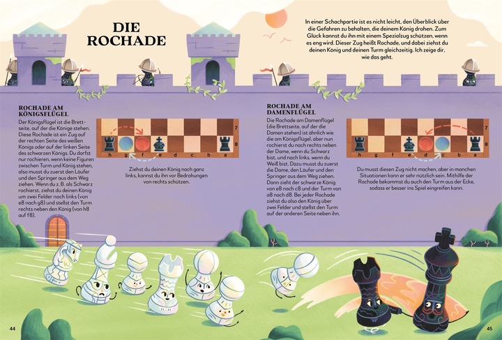 Actual product image Chess for children