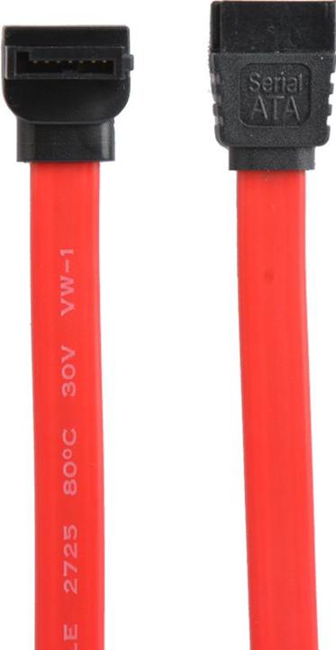 Immagine prodotto Prokord Cavo ATA/SAS - 80 cm