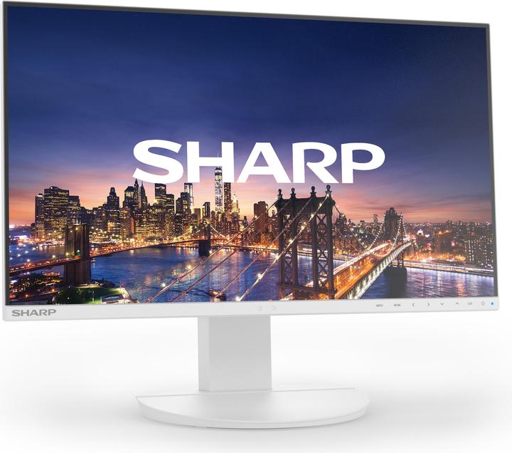 Actual product image NEC Multisync DD-EA241FW (1920 x 1080 pixels, 24")
