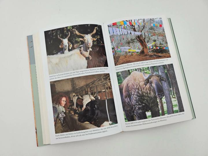 Produktbild The Internet of Animals: Was wir von der Schwarmintelligenz des Lebens lernen können (Deutsch, Martin Wikelski, 2024)