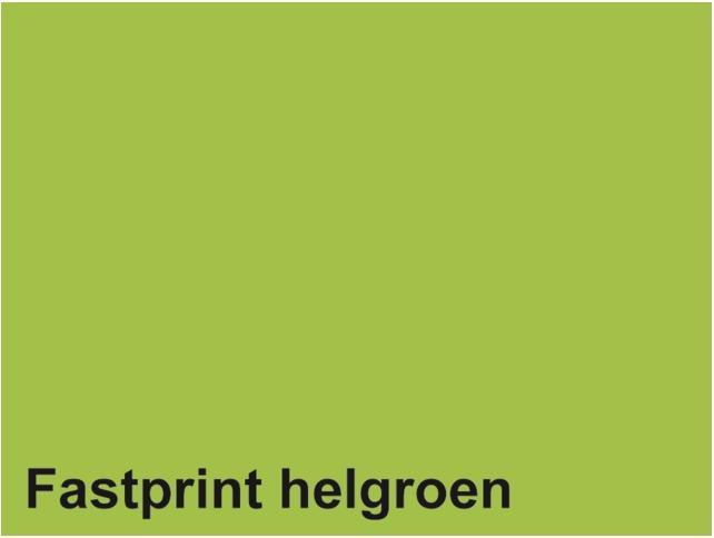 Quantore Kopierpapier Fastprint A4 80gr hellgrün 100 Blatt (80 g/m², 100 x, A4)