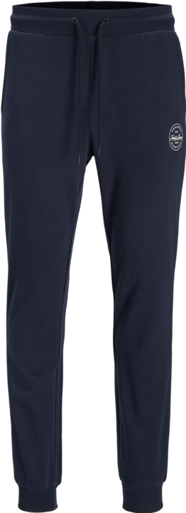 Actual product image Jack & Jones Gordon Sweathose (L)
