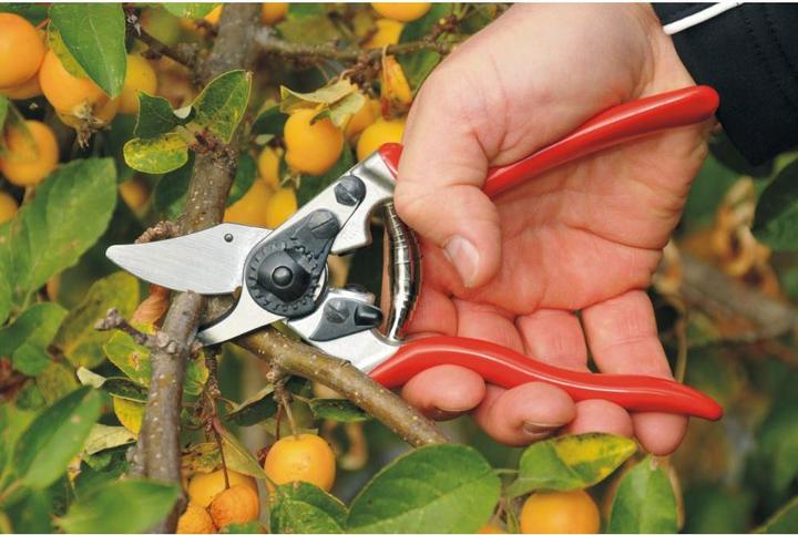Image du produit Felco Cisailles de jardin 6