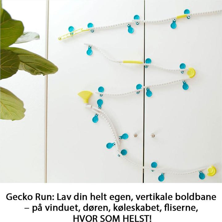 Image du produit Kosmos Gecko Run - Kit de démarrage V1