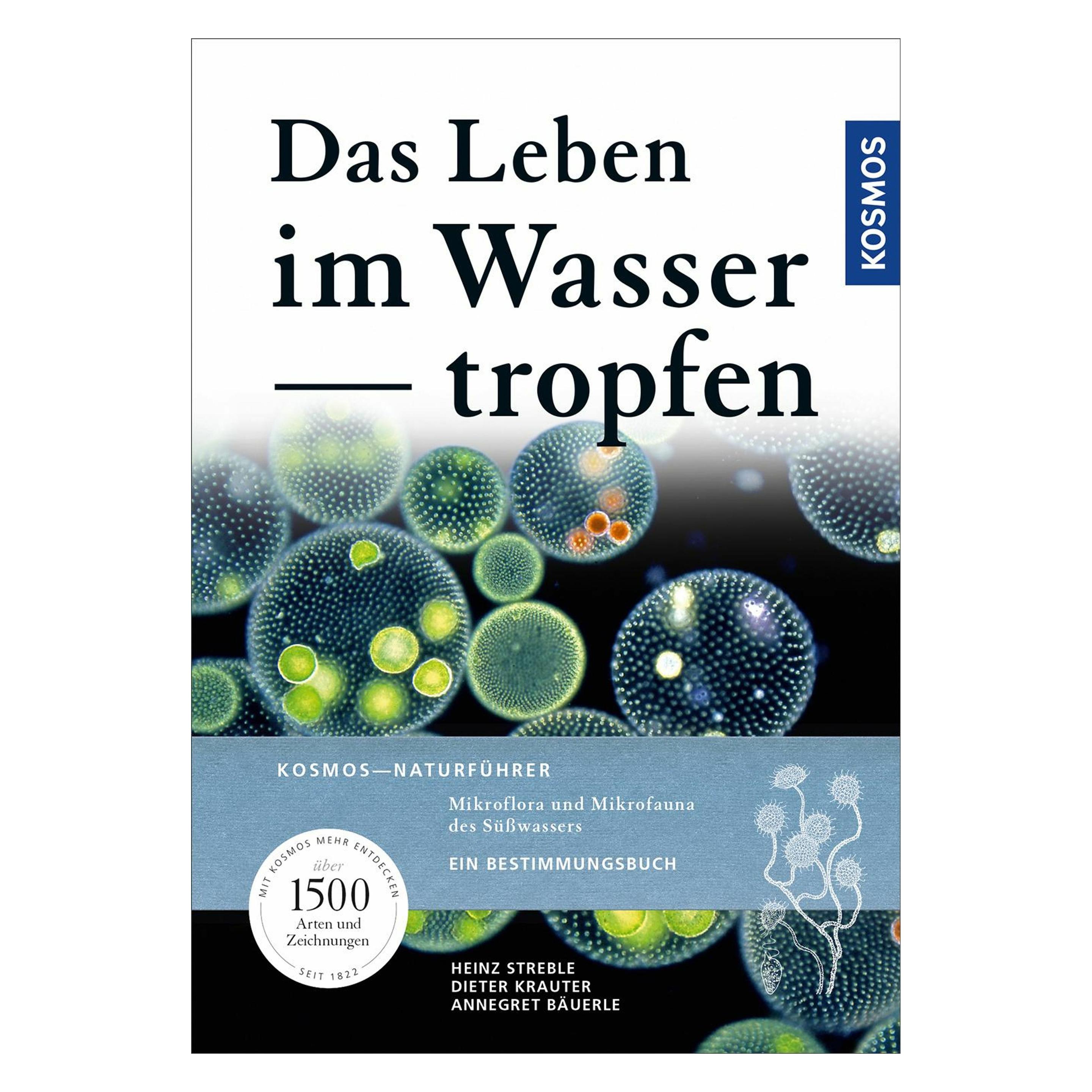 Das Leben Im Wassertropfen