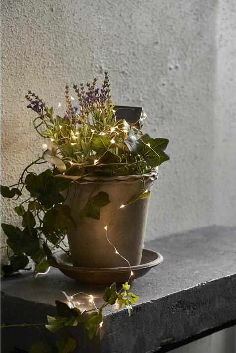 Produktbild EGLO Lichterkette (IP20)