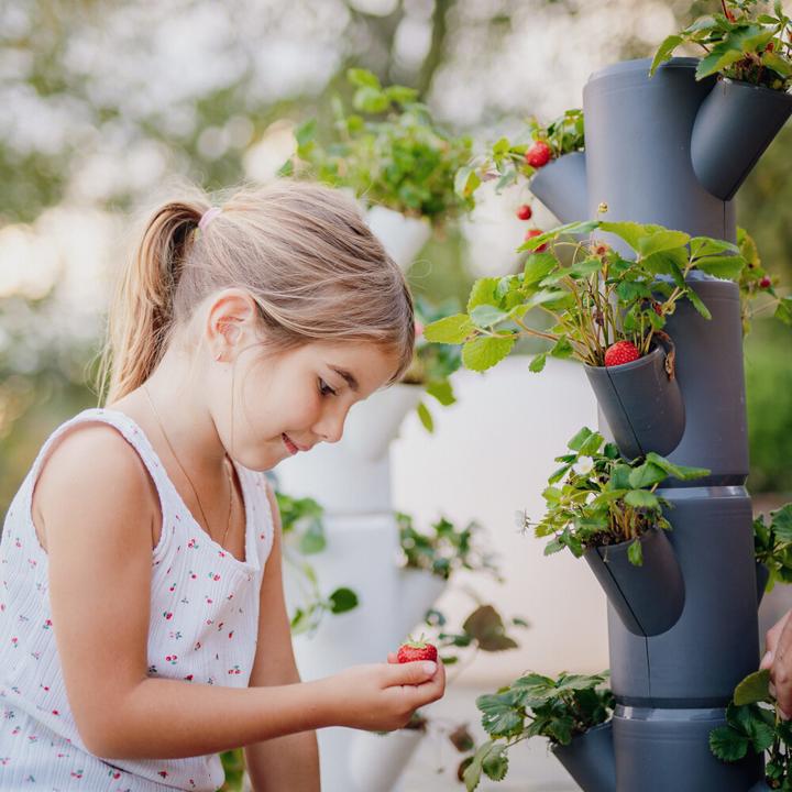 Actual product image Gusta Garden Sissi Strawnerry (27 x 27 x 77 cm)