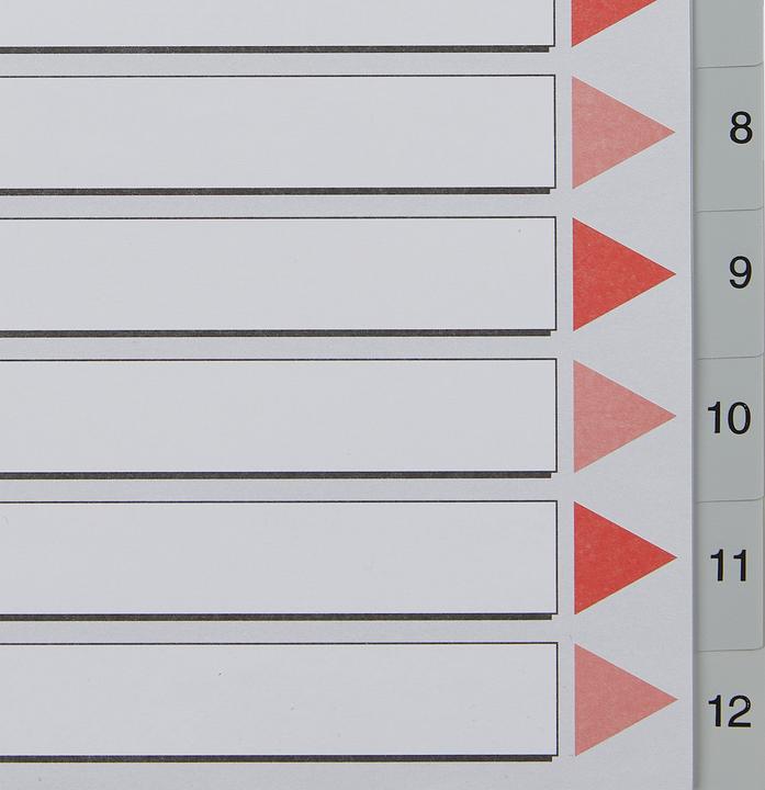 Image du produit Esselte Registre en plastique