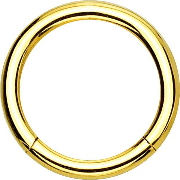 Produktbild Star Piercing Micro Segmentring klappbar vergoldet (ohne Messing, Titan G23)