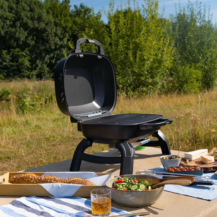 Actual product image Napoleon Grills TravelQ 240 (2.60 kW)