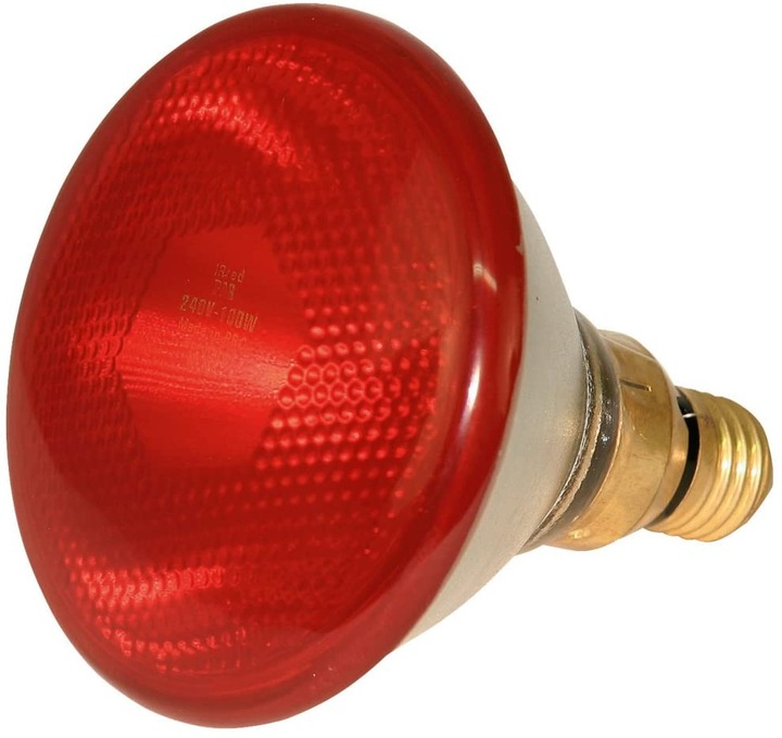 Kerbl Lampe infrarouge économique (175 W)
