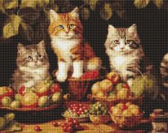 Actual product image Ideyka Diamond Painting - Cats and fruits with frame 40 x 50 cm
