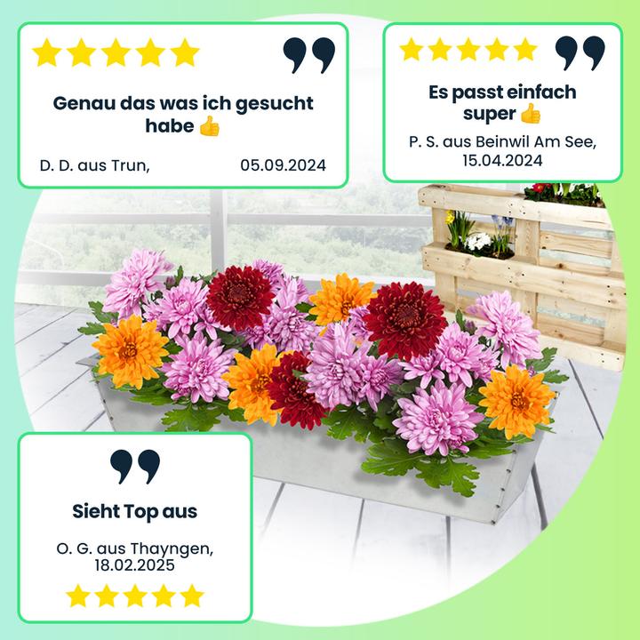 Immagine prodotto Casativo Pflanzkasten-Set (38.50 x 13.50 x 8.50 cm)