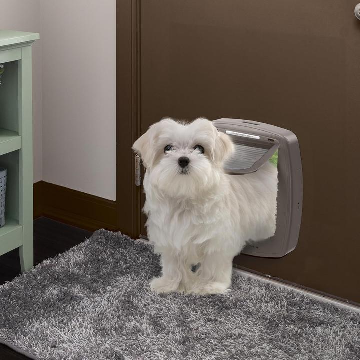 Image du produit Ferplast Swing (Chatière à micropuce)