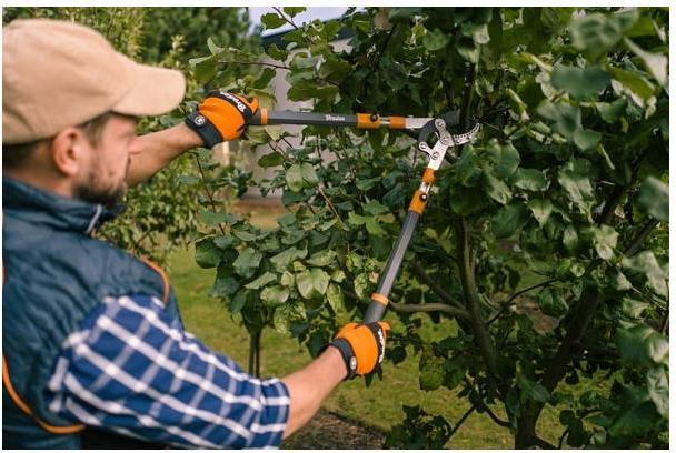 Actual product image Bradas Telescopic lopping shears