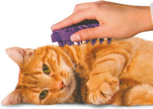 Actual product image KONG zoom groom (Dog)