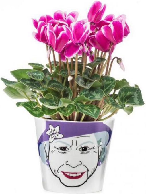 Produktbild Donkey Products Blumentopf Queen