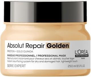 Actual product image L'Oréal Professionnel Series Expert Absolute Repair (250 ml)