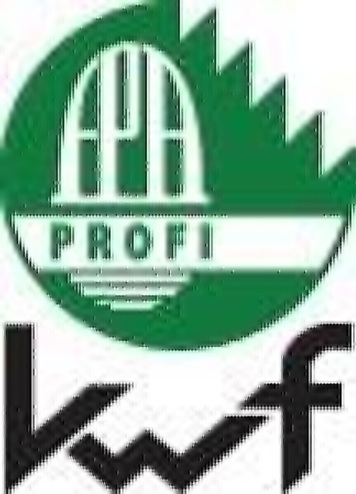 Productafbeelding 3M Forester hoofdbeschermingscombinatie (53 - 62 cm)