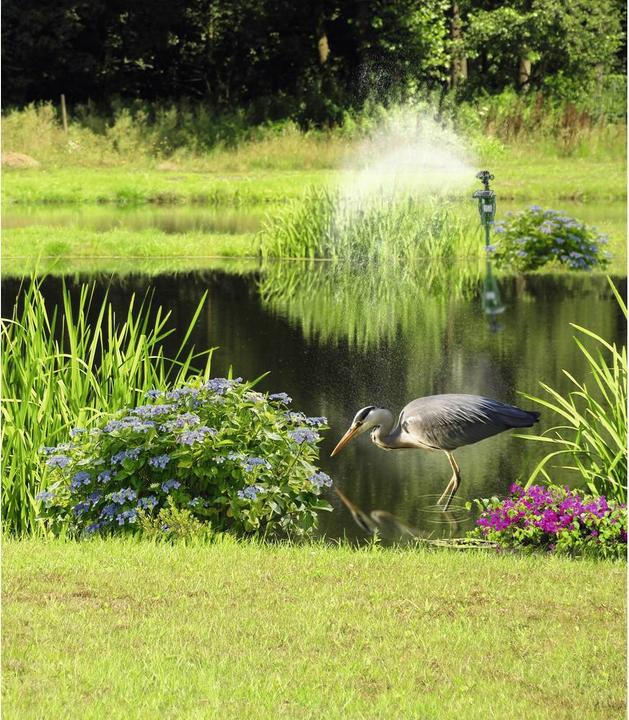 Image du produit Gardigo Défense solaire contre les animaux aquatiques