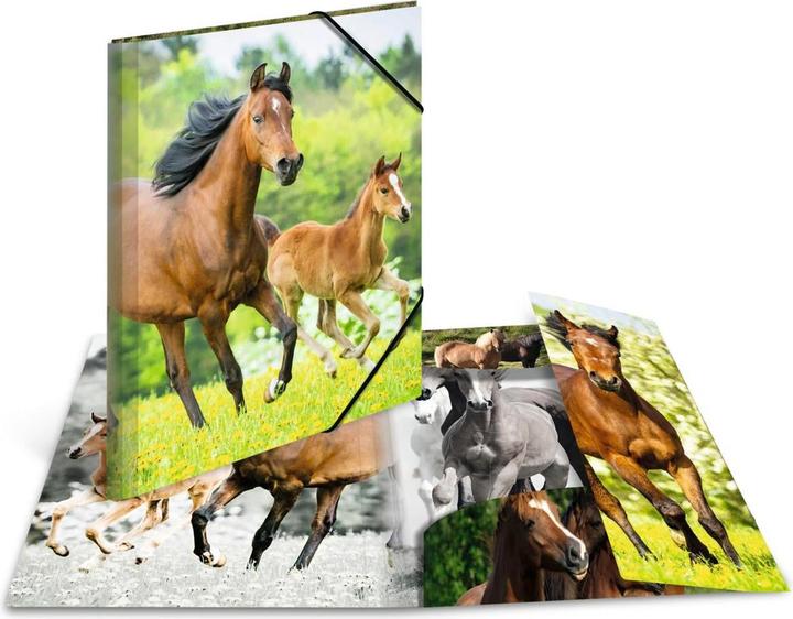 Image du produit HERMA Porte-documents A3 Motif (A3, 1x)