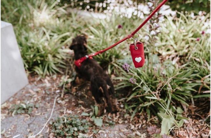 Produktbild Hunter Kotbeutelspender Love, Rot (Hund, Allgemein)