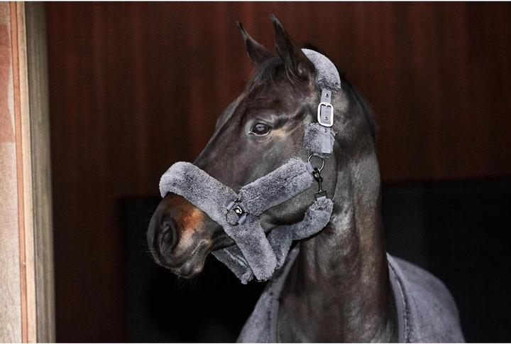 Immagine prodotto Catago Quick Dry