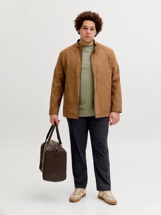 Actual product image Jack & Jones Plus Size Relaxed Fit Relaxed Fit Hosen Relaxed Fit Hosen (48)