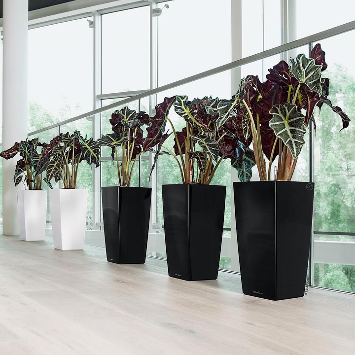 Produktbild Lechuza Cubico 30 (29.50 cm)