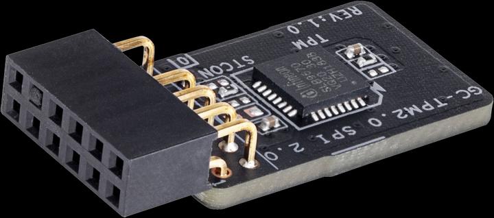 Actual product image Gigabyte GC-TPM2.0 SPI 2.0