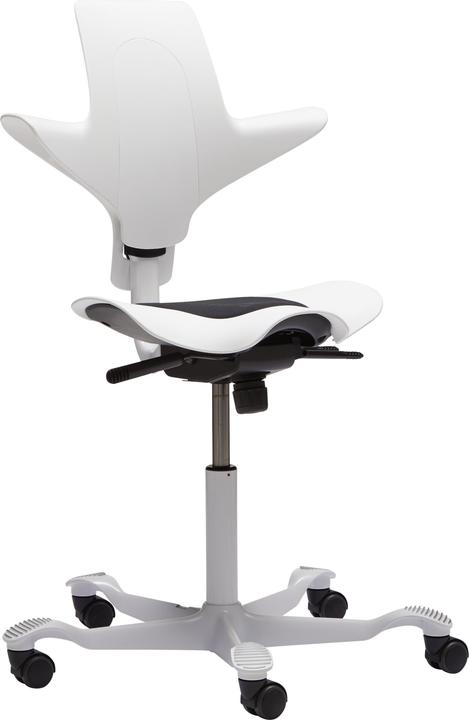 Actual product image HAG Capisco Puls 8010