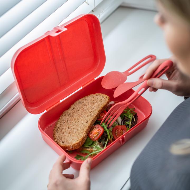 Actual product image Koziol Lunch box Pascal L Red
