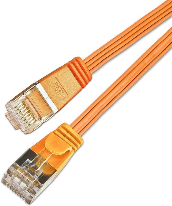 Actual product image Lightwin Network cable (STP, CAT6, 0.10 m)
