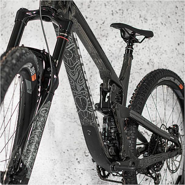 Actual product image riesel design frame