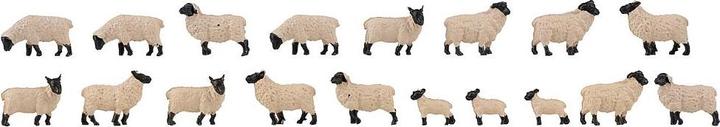 Actual product image Faller 18 Black head sheep