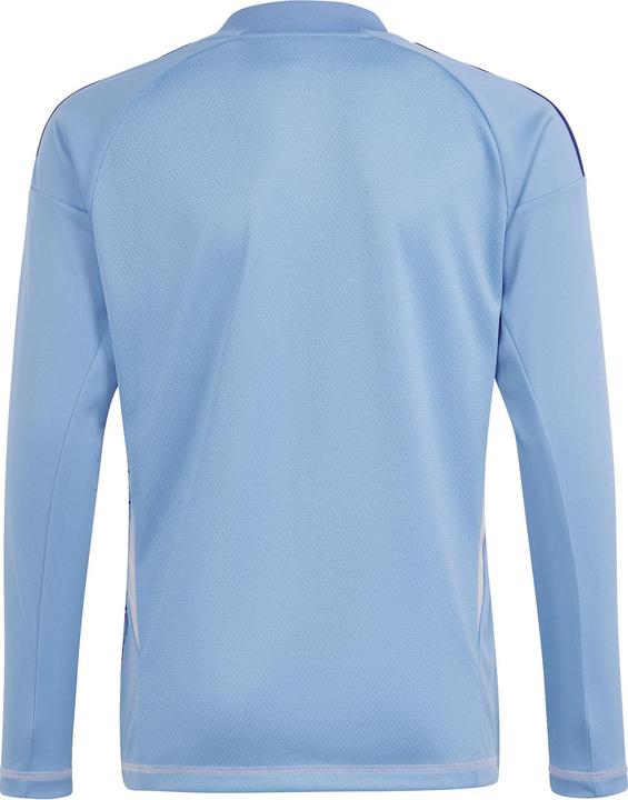 Actual product image adidas Tiro24 C Gk Jsy Ly (116)