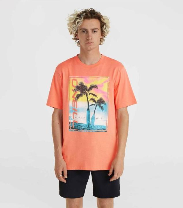 Immagine prodotto O'Neill T-Shirt Jack Neon (L)