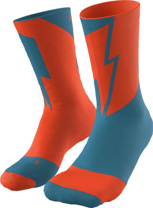 Produktbild Dynafit No Pain No Gain Socken Unisex (43 - 46)