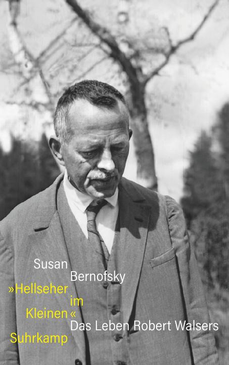 Actual product image »Hellseher im Kleinen« (German, Susan Bernofsky, 2025)