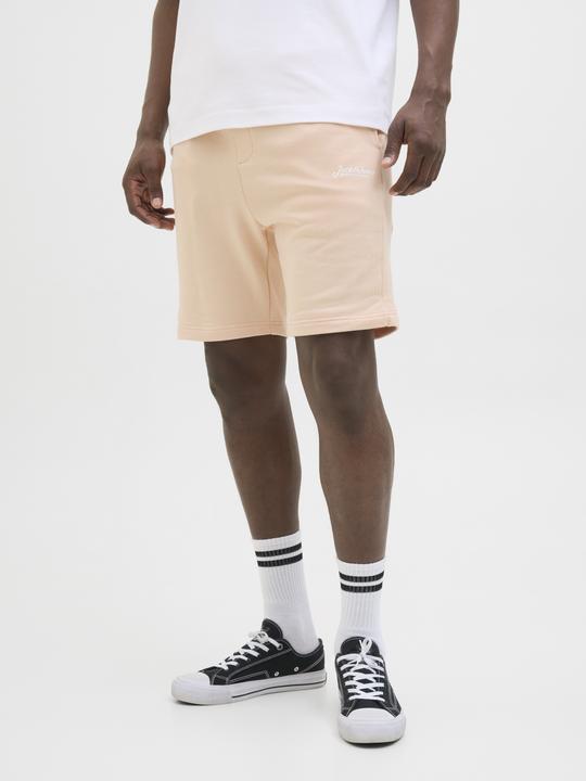 Image du produit Jack & Jones Regular Fit Shorts Shorts (M)