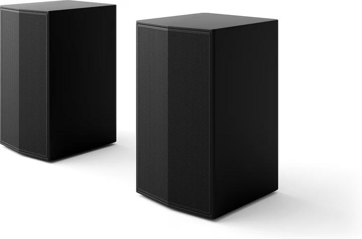 Actual product image LG SPT8-S.AEUSLLK (1 pair, 100 W)