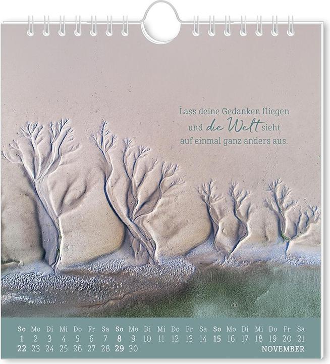 Produktbild Postkartenkalender 2026 Strandgut (16 x 17 cm)