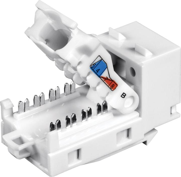 Produktbild Trendnet TC-K25C6 Modulare Eingabe (Packung mit 25) (Patch Panel)