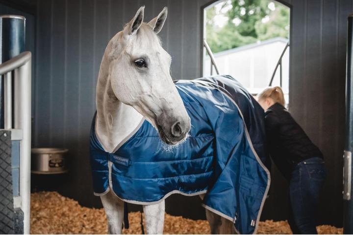 Actual product image Horseware Ionic Therapy Liner 50g (145 cm)
