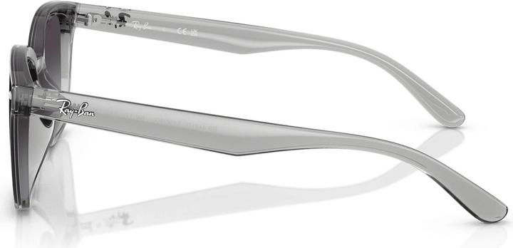 Produktbild Ray Ban RB4461D